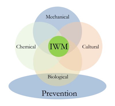 Integrated Weed Management - A Practical Approach - Cover Image